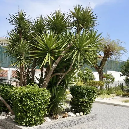 Bed & Breakfast Casa Teresinha