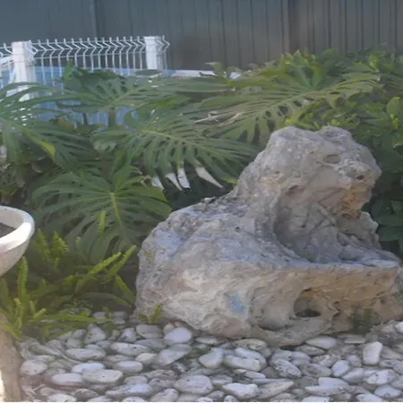 Bed & Breakfast Casa Teresinha