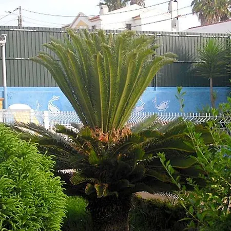 Bed & Breakfast Casa Teresinha 4*