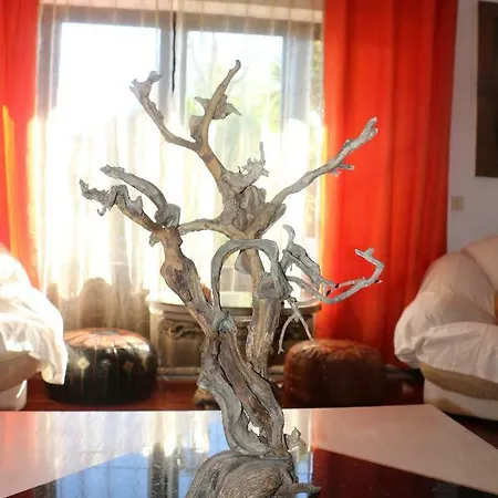 Casa Teresinha Bed & Breakfast 4*