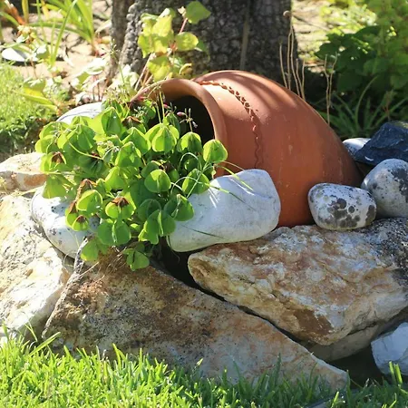 Casa Teresinha Sesimbra