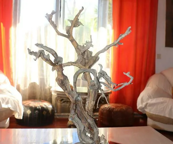 Casa Teresinha Bed & Breakfast 4*