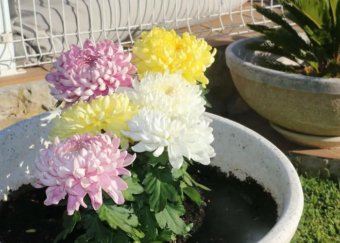 Casa Teresinha Bed & Breakfast Sesimbra